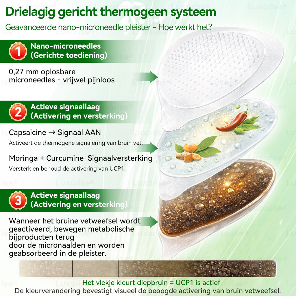 𝑂𝑓𝑓𝑖𝑐𝑖ë𝑙𝑒 𝑤𝑖𝑛𝑘𝑒𝑙💕𝐿𝑢𝑥𝑎𝑟𝑖𝑠𝑒® 𝑀𝑜𝑟𝑖𝑛𝑔𝑎 & 𝐵𝑒𝑟𝑏𝑒𝑟𝑖𝑛𝑒 10-𝐼𝑁-1 𝑔𝑒𝑎𝑣𝑎𝑛𝑐𝑒𝑒𝑟𝑑𝑒 𝑛𝑎𝑛𝑜-𝑚𝑖𝑐𝑟𝑜𝑛𝑎𝑎𝑙𝑑𝑝𝑙𝑒𝑖𝑠𝑡𝑒𝑟（𝑂𝑏𝑒𝑠𝑖𝑡𝑎𝑠, 𝑑𝑖𝑎𝑏𝑒𝑡𝑒𝑠, 𝑠𝑙𝑎𝑎𝑝𝑎𝑝𝑛𝑒𝑢 𝑒𝑛 𝑔𝑒𝑤𝑟𝑖𝑐ℎ𝑡𝑠𝑘𝑙𝑎𝑐ℎ𝑡𝑒𝑛 ）